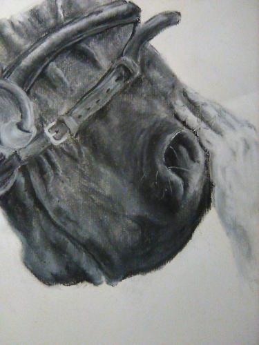 One last Ride, Charcoal