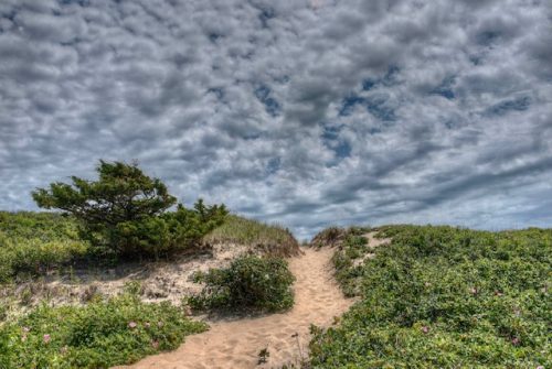 Montauk beach path