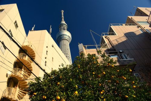 Tokyo Skytree